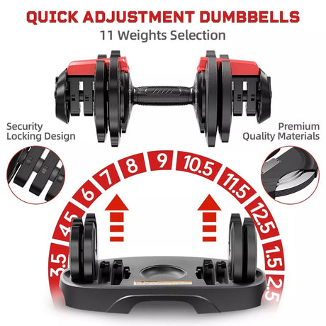 BRAINGAIN Beginner Gym Bundle